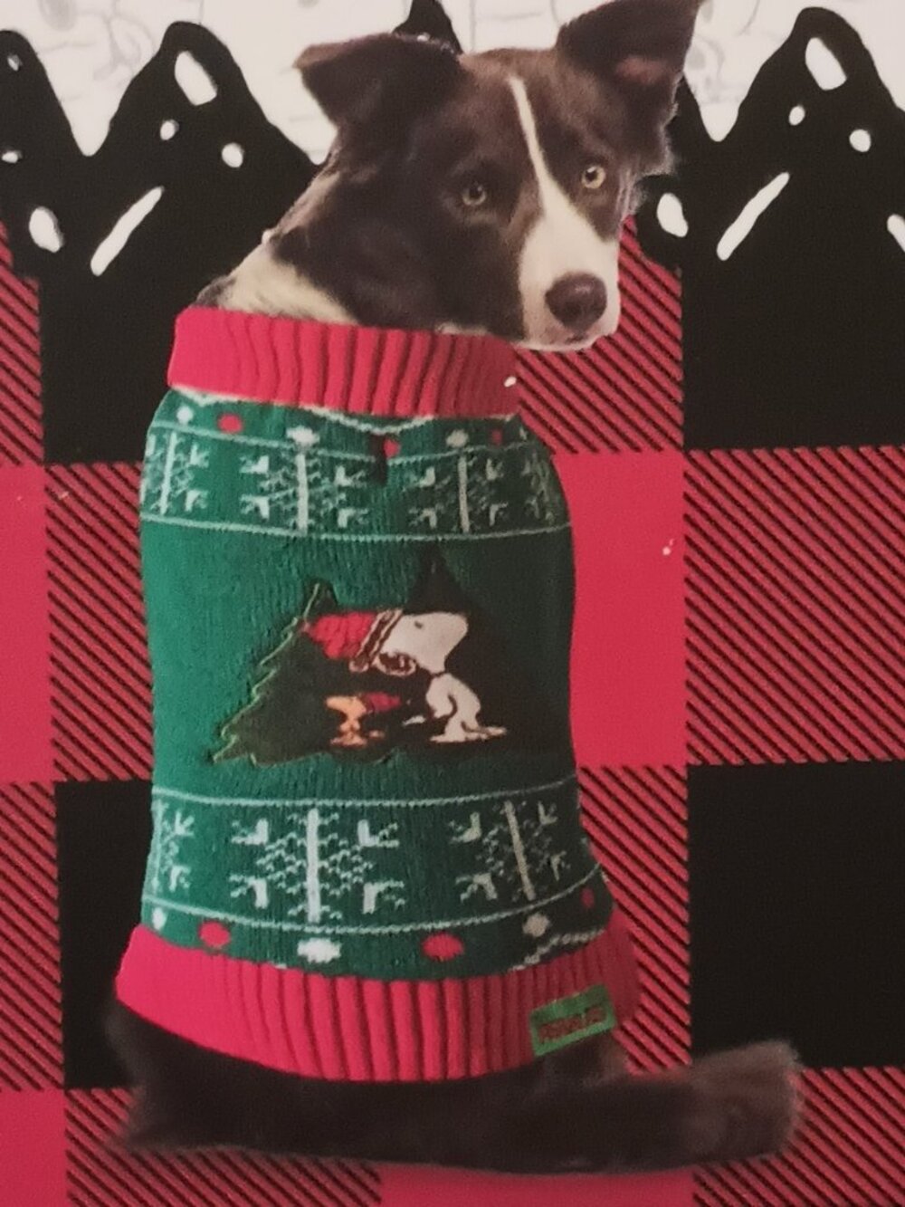 NWT~ Peanuts Snoopy & Woodstock Green & Red Knit Holiday Pet Sweater (Size:  XL)